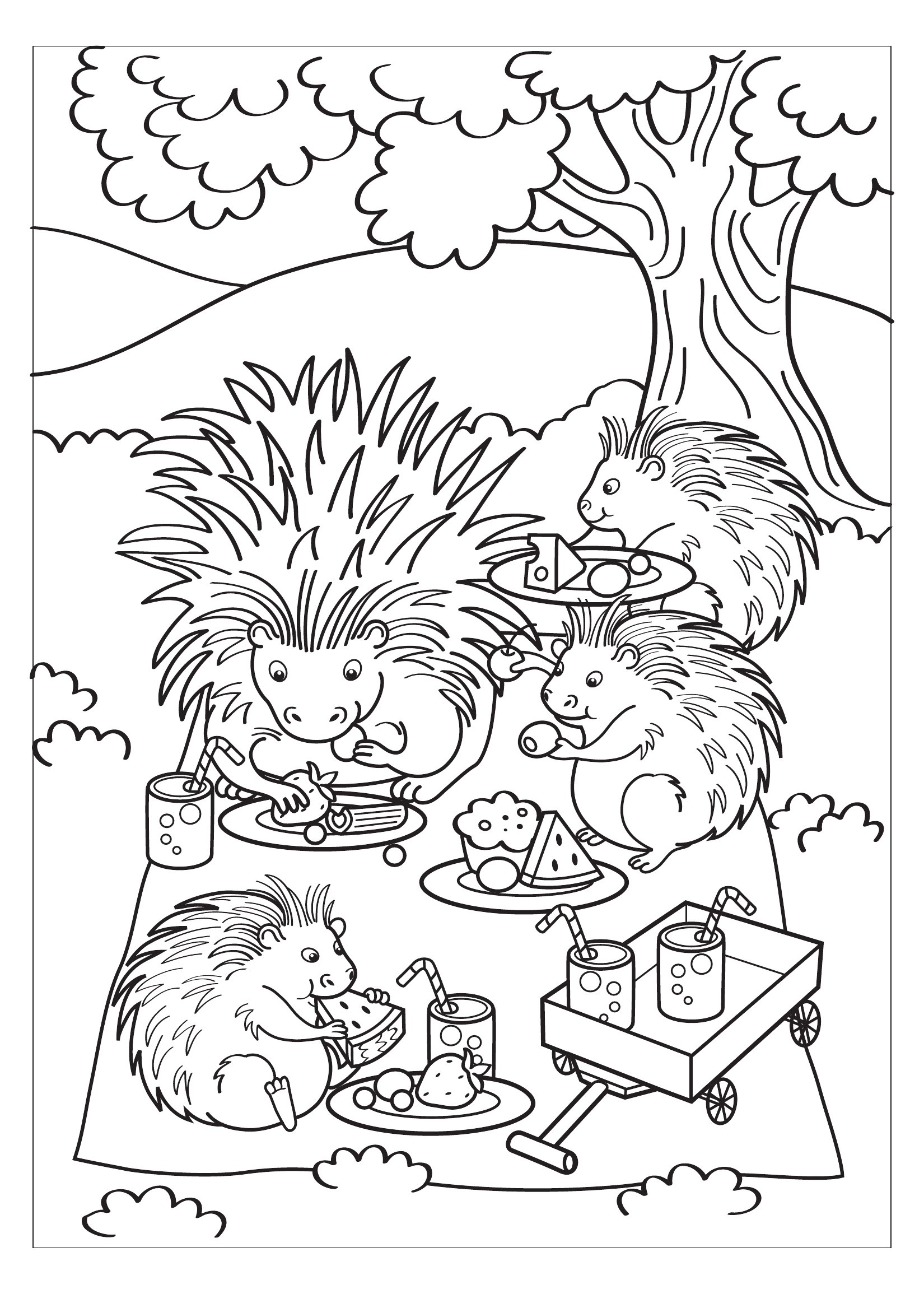 Thumbnail preview of Animals Porcupines