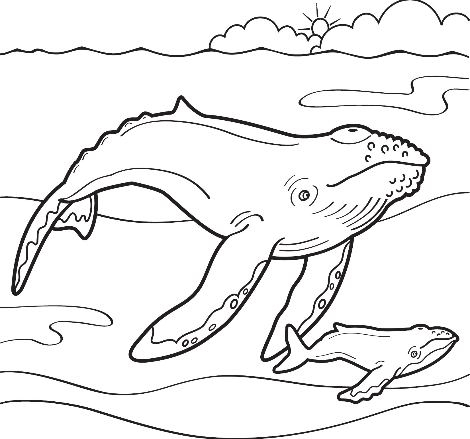Thumbnail preview of Animals Sea Whale