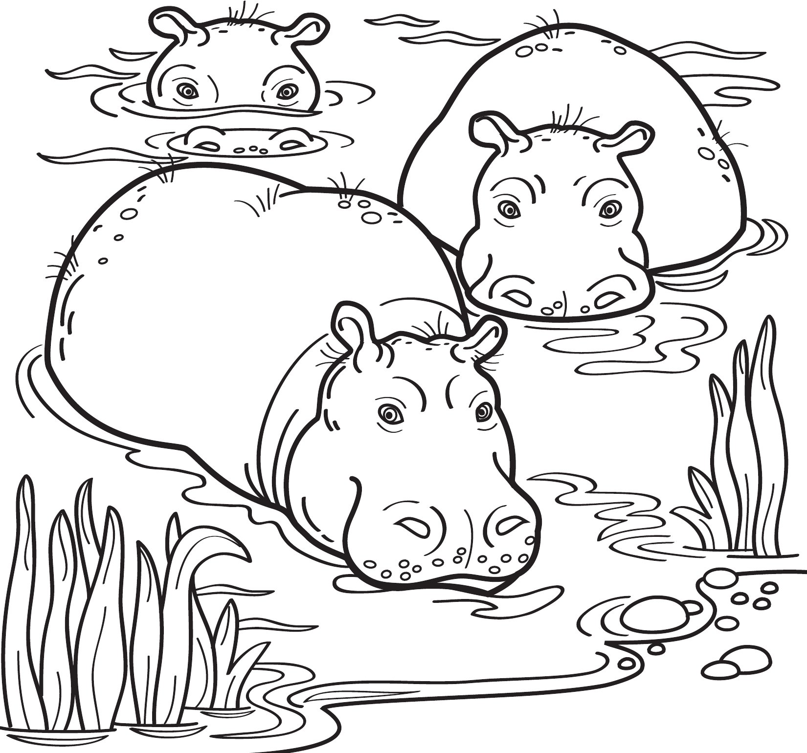 Thumbnail preview of Animals Wild Hippos