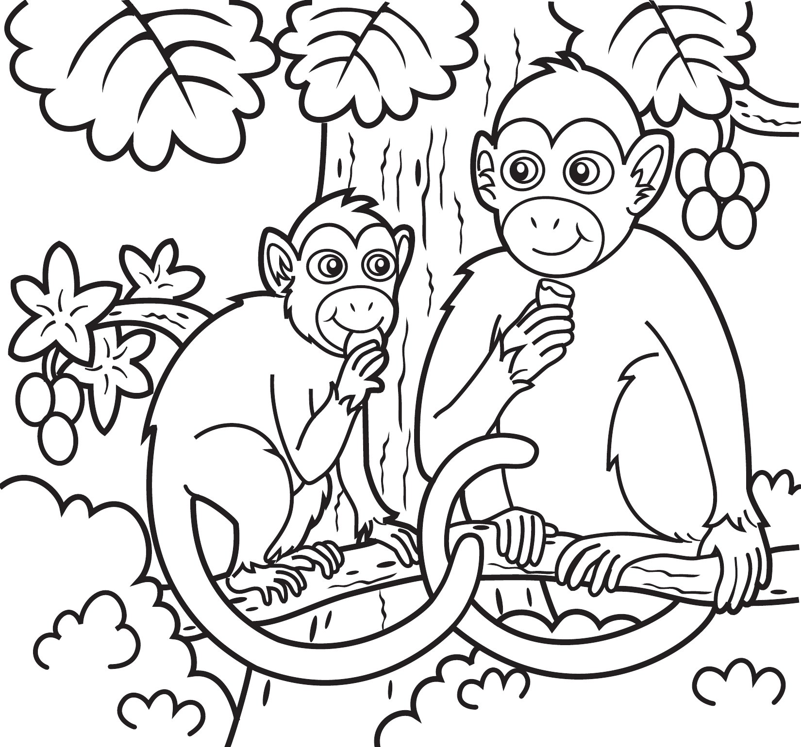 Thumbnail preview of Animals Wild Monkeys