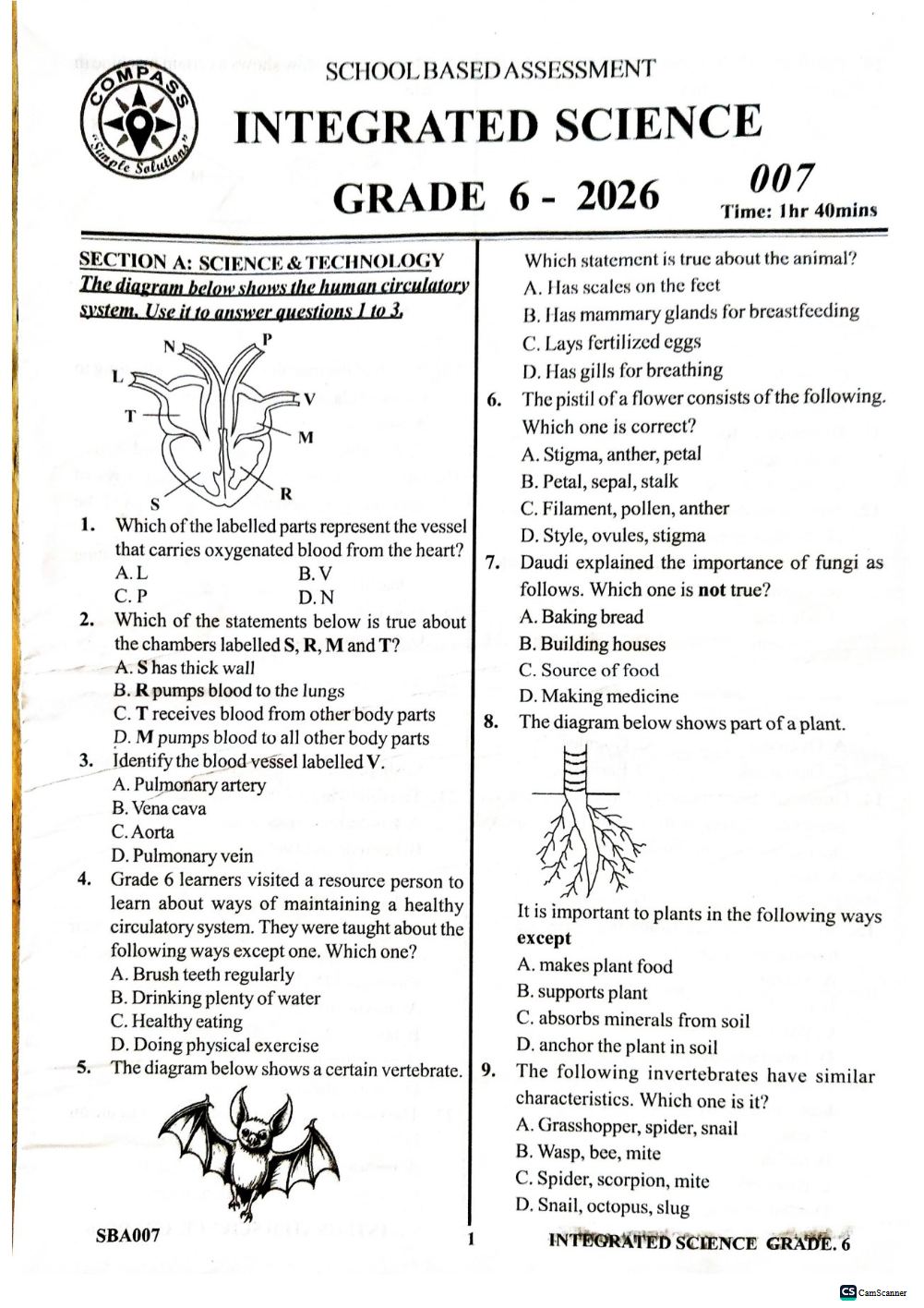 Thumbnail preview of Grade 6 2026 Term 3 School Based Assessment Integrated Science