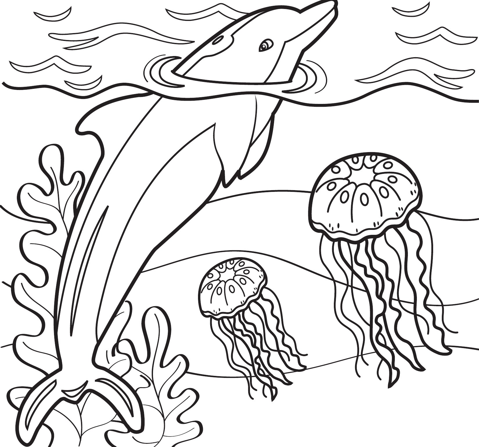 Thumbnail preview of Animals Sea Dolphinjelly