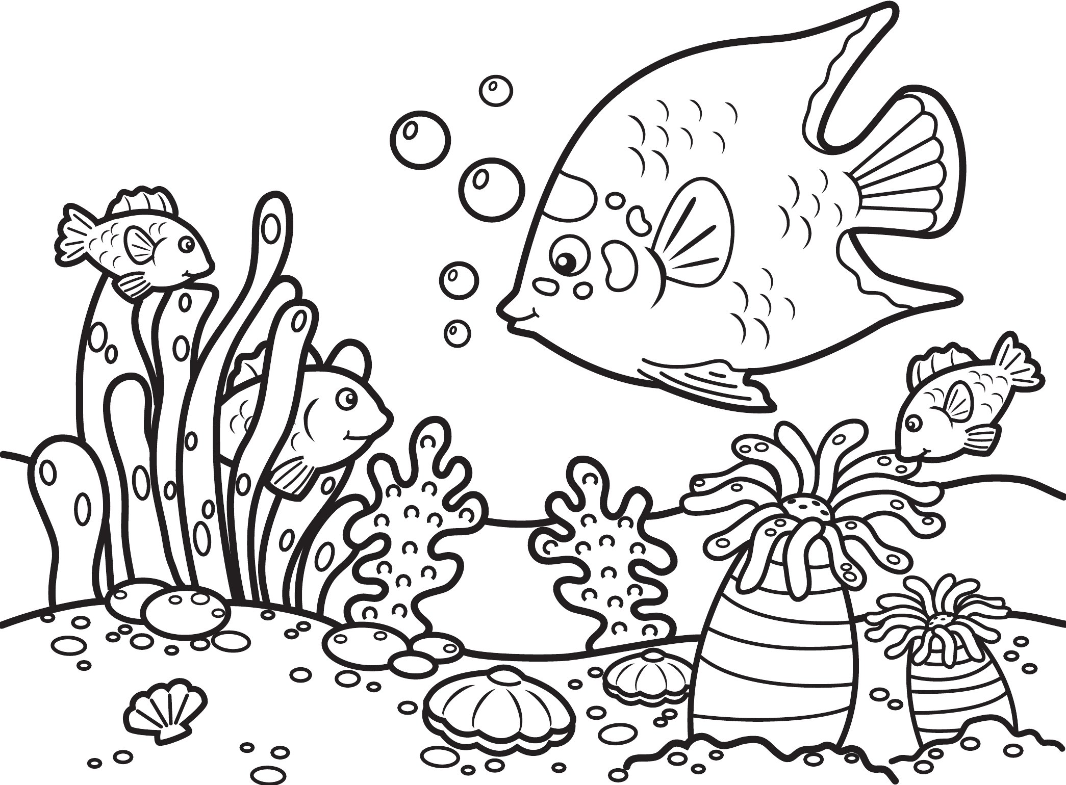 Thumbnail preview of Animals Sea Fishgrp