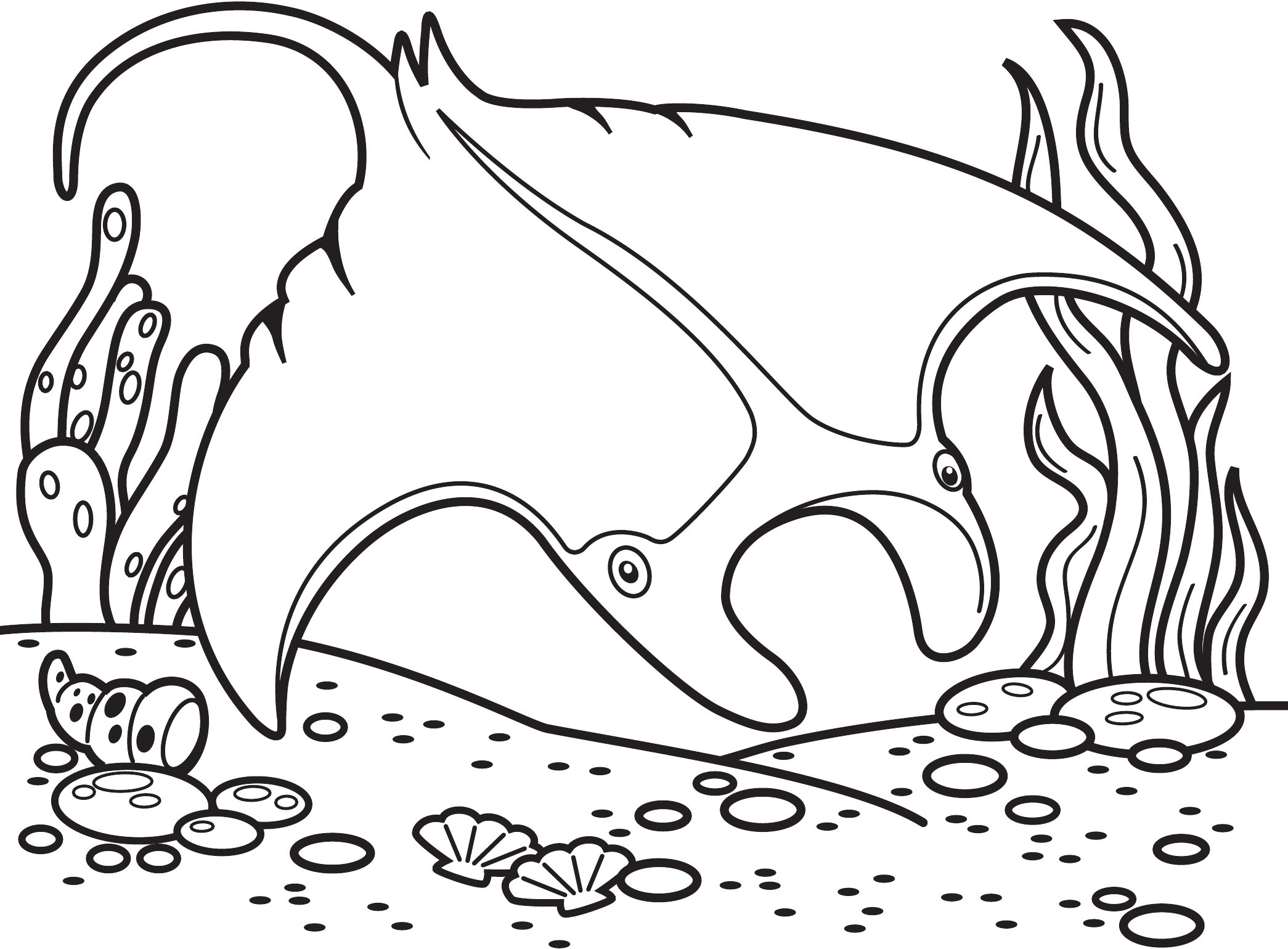 Thumbnail preview of Animals Sea Manta