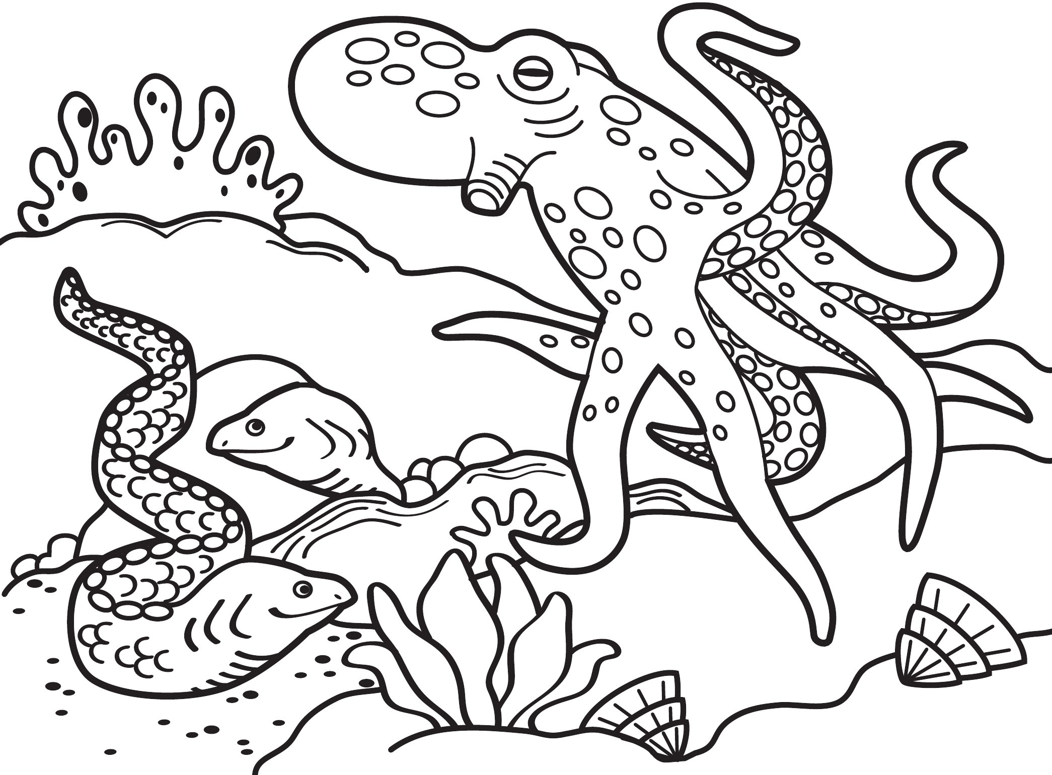 Thumbnail preview of Animals Sea Octopuseel