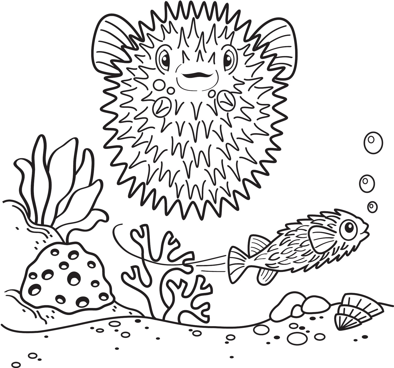 Thumbnail preview of Animals Sea Puffer