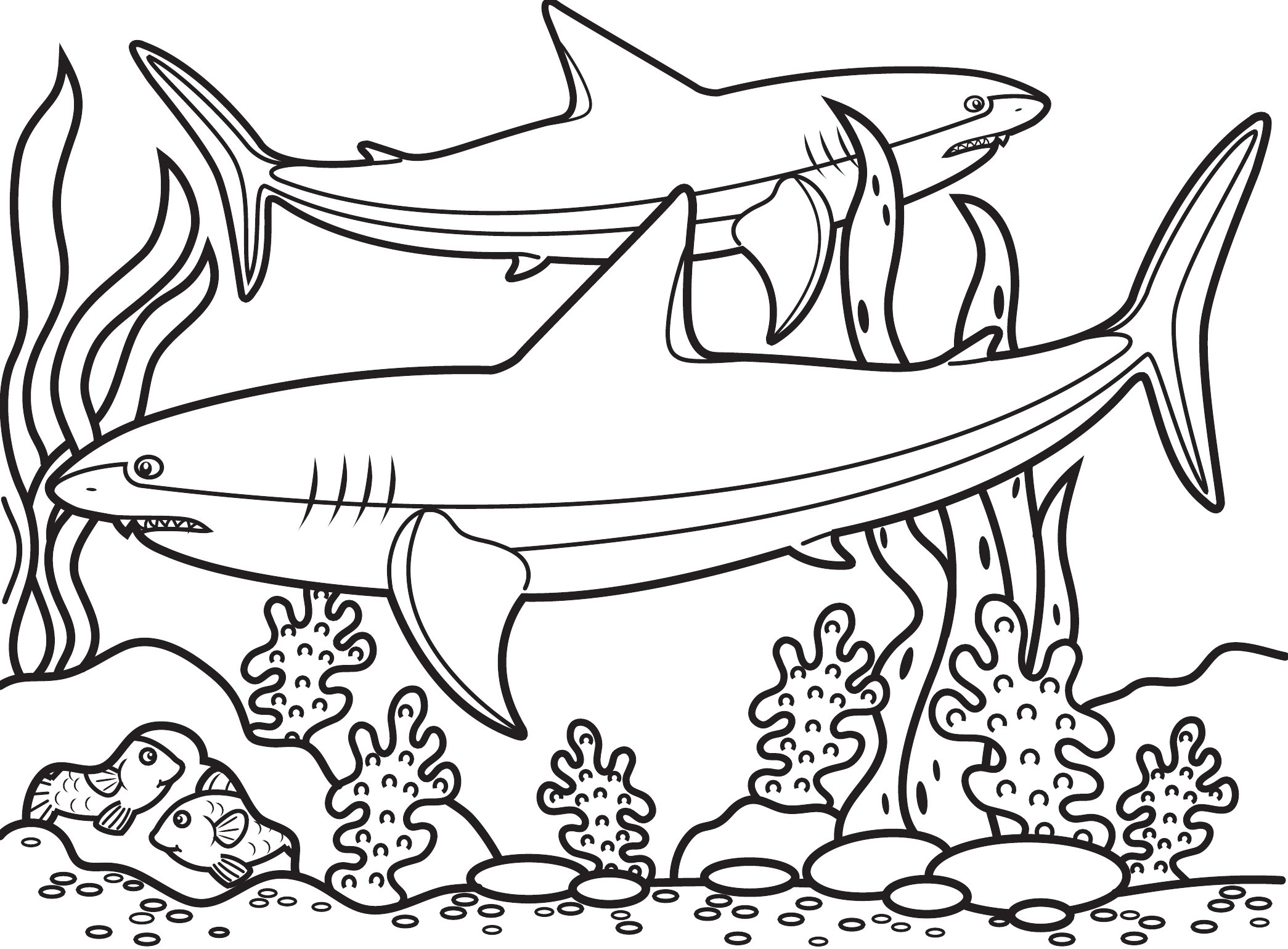 Thumbnail preview of Animals Sea Shark