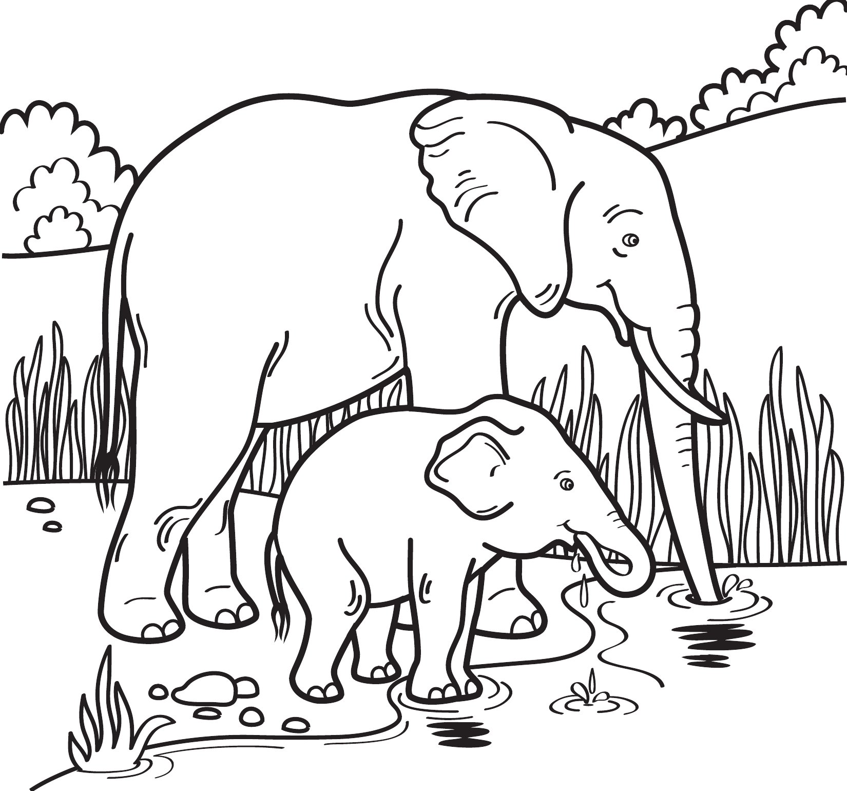 Thumbnail preview of Animals Wild Elephants