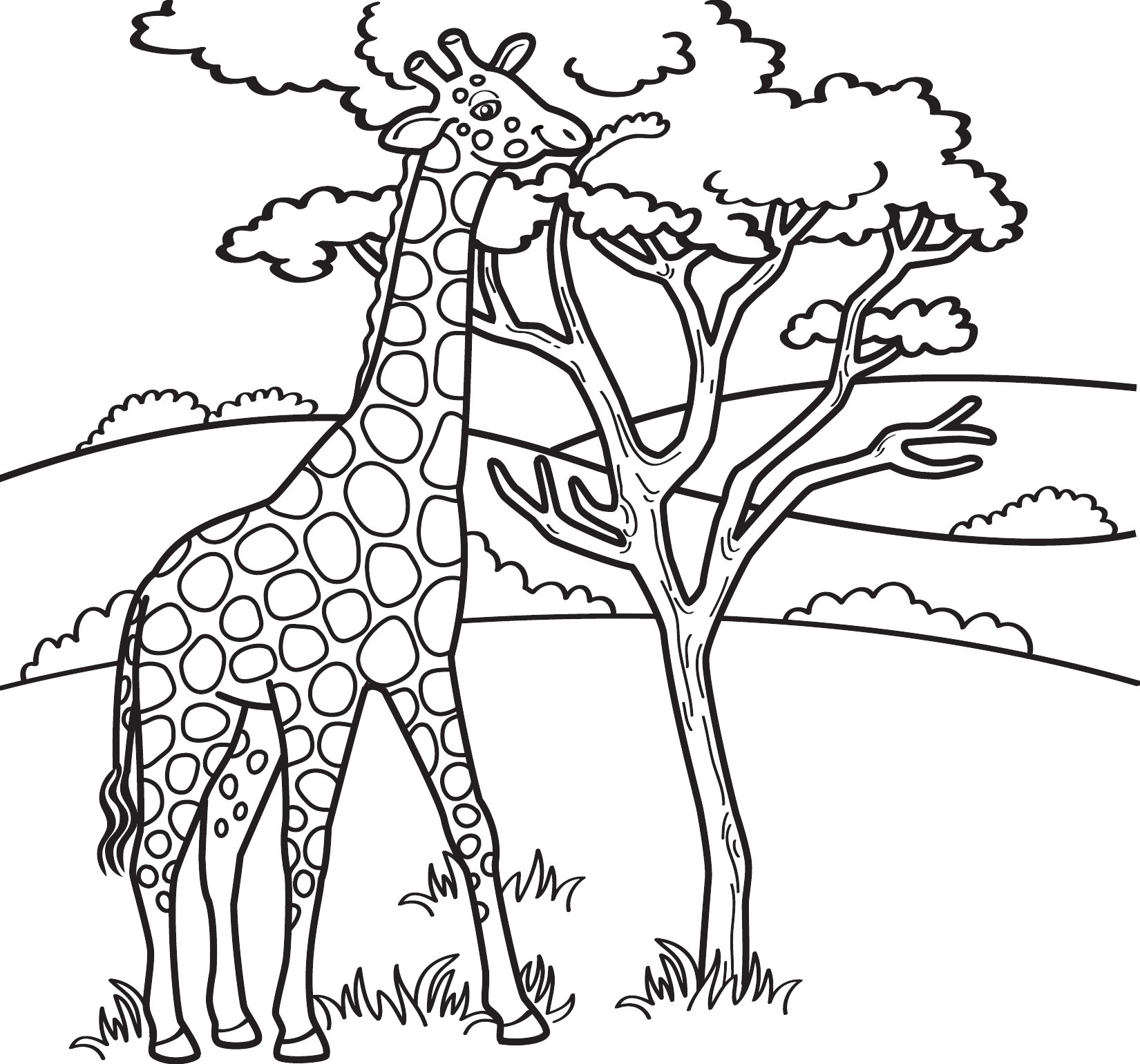 Thumbnail preview of Animals Wild Giraffe