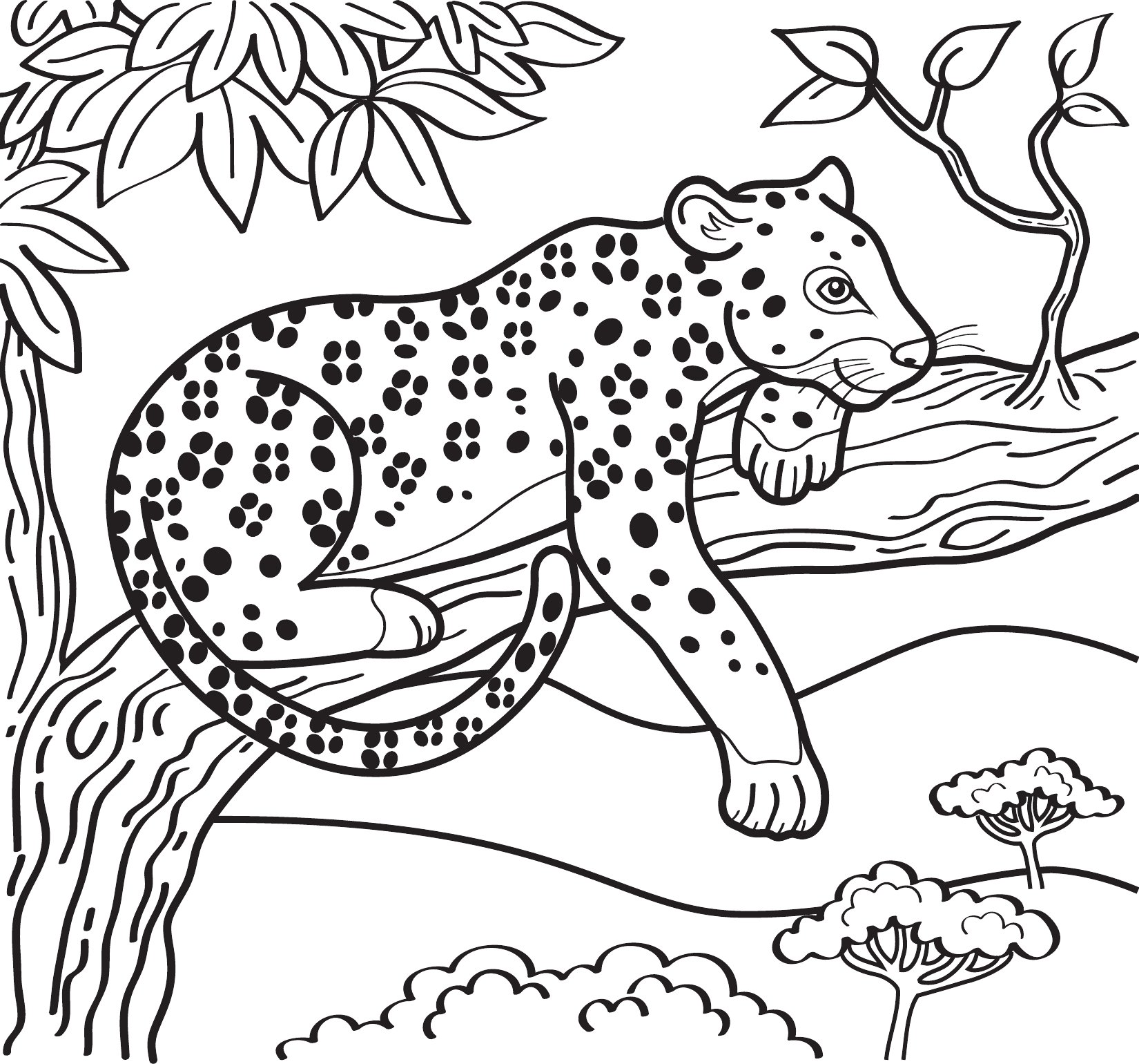 Thumbnail preview of Animals Wild Leopard