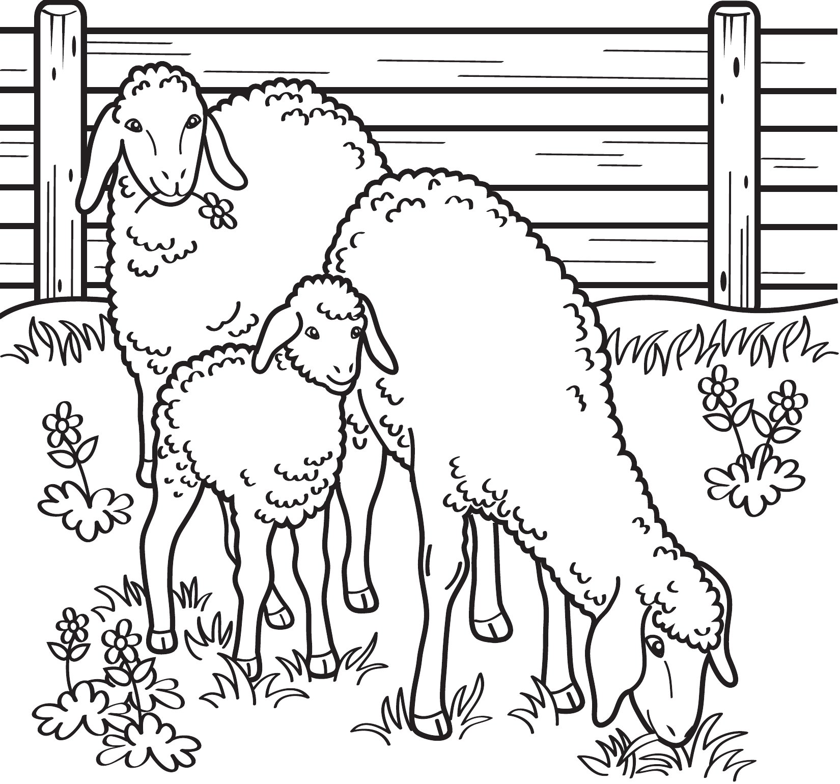 Thumbnail preview of Animals Farm Sheep