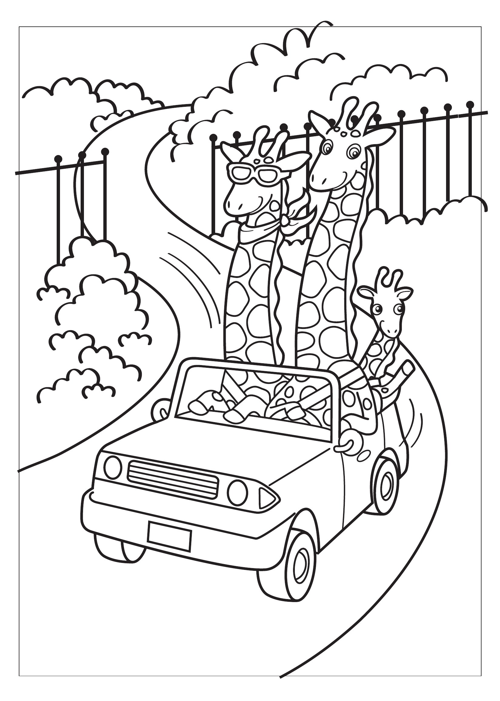Thumbnail preview of Animals Giraffes
