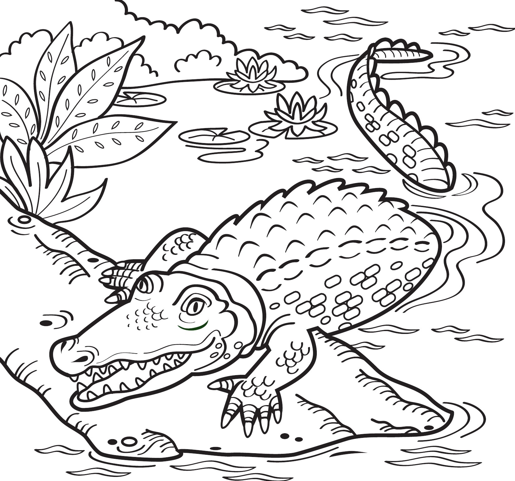 Thumbnail preview of Animals Wild Crocodile