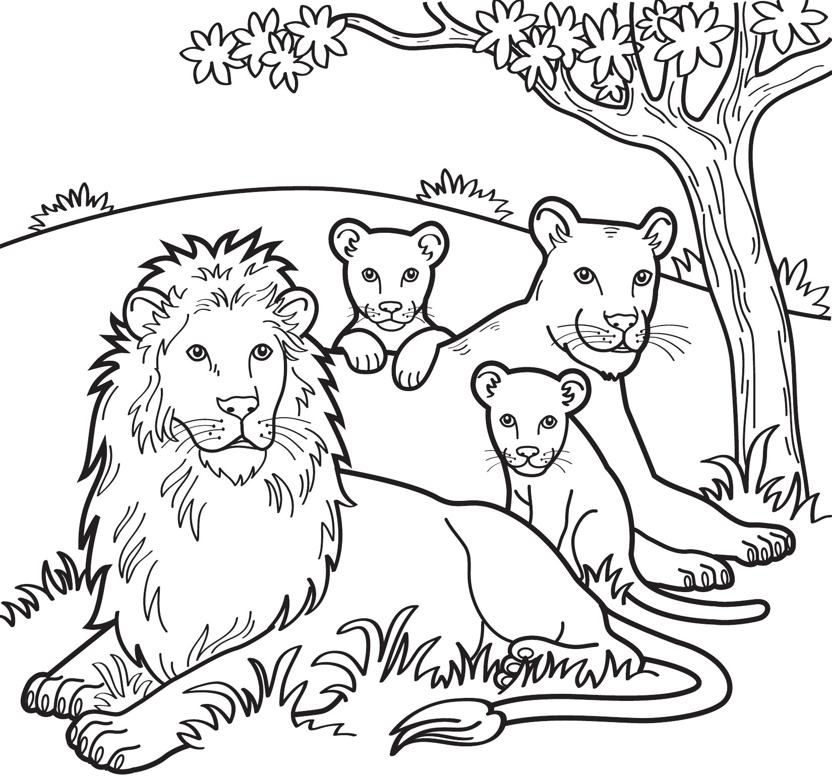 Thumbnail preview of Animals Wild Lions