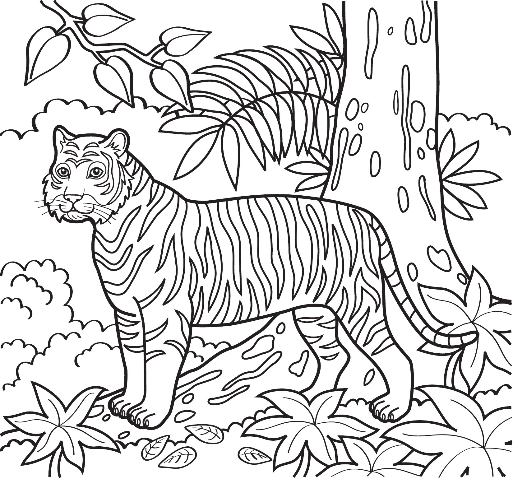 Thumbnail preview of Animals Wild Tiger