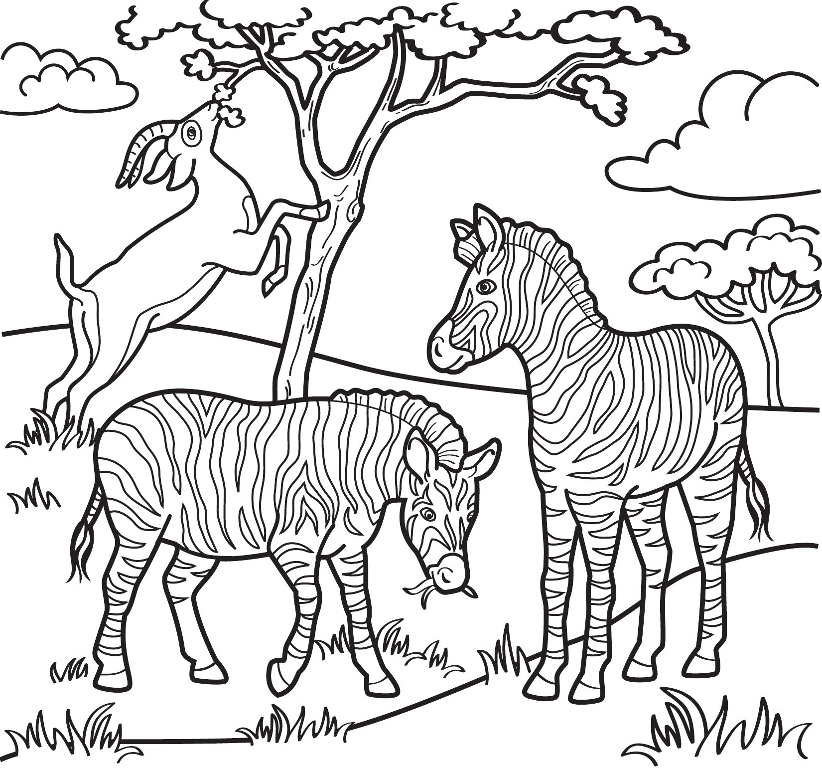 Thumbnail preview of Animals Wild Zebras